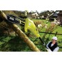 Potatore RYOBI RPP750S Estensibile 18V 20Cm